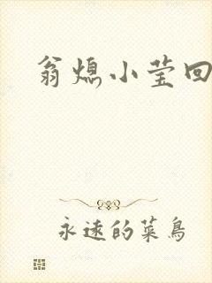 翁熄小莹回乡下