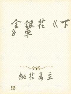 金银花《下厨房》车