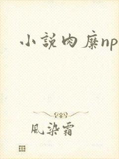 小说肉糜np