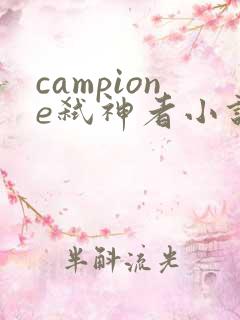 campione弑神者小说