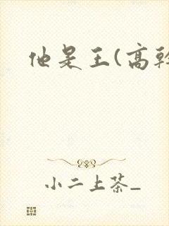 他是王(高干)