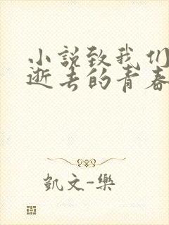 小说致我们终将逝去的青春