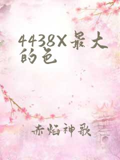 4438X最大的色