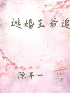 逃婚王爷追逃妃