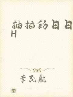 抽插的日日液液H