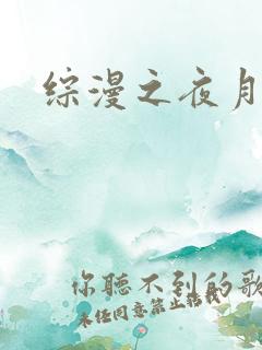 综漫之夜月