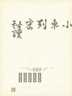 秘密列车小说阅读