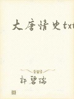 大唐情史txt