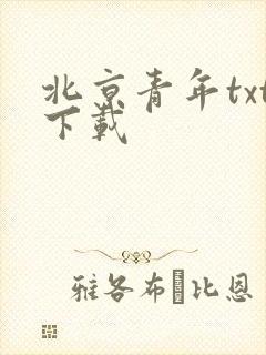 北京青年txt下载