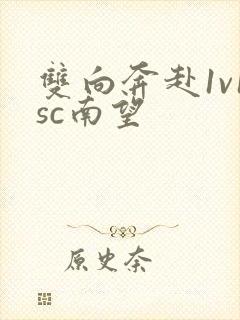 双向奔赴1v1sc南望