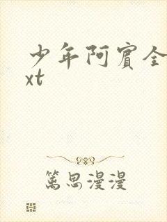 少年阿宾全集txt