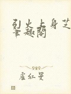 引火上身芝麻糖笔趣阁