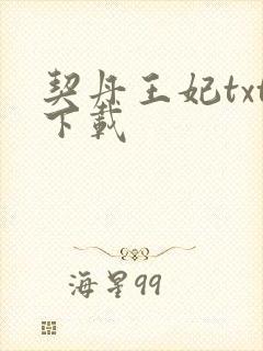 契丹王妃txt下载