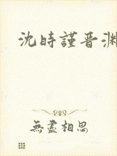 沈时谨晋渊小说