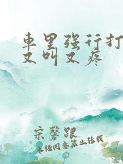 车里强行打扑克又叫又疼