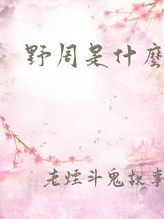 野周是什么意思