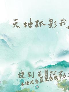 天地孤影我独行