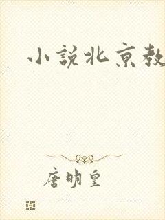 小说北京教父