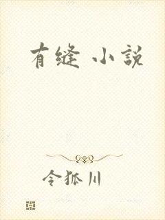 有缝 小说
