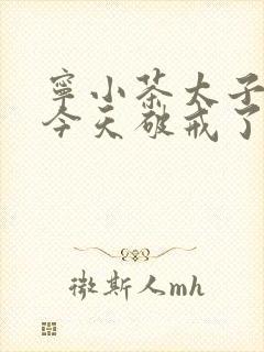 宁小茶太子殿下今天破戒了吗免费阅读