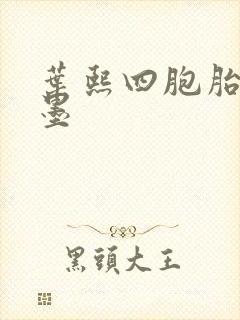 叶熙四胞胎厉子墨