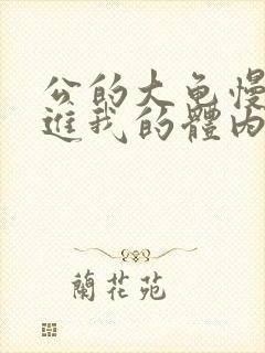 公的大龟慢慢挺进我的体内视频