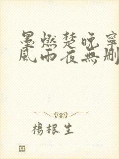 墨燃楚晚宁痴缠风雨夜无删减