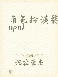 角色扮演系统(npn)