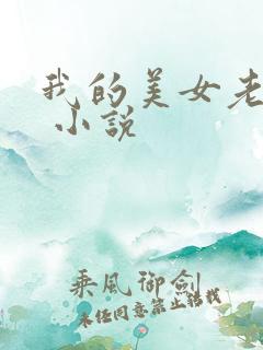 我的美女老婆们 小说