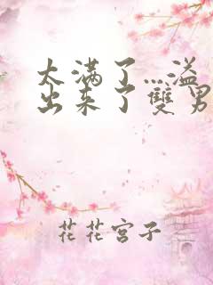 太满了...溢出来了双男动漫