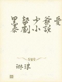 黑帮少爷爱上我泰剧小说