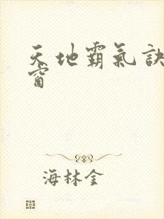 天地霸气诀无弹窗