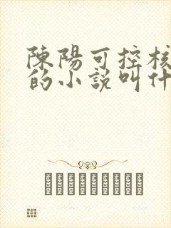 陈阳可控核聚变的小说叫什么名字