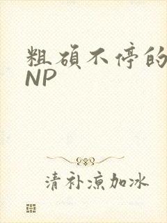 粗硕不停的进出NP