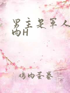 男主是军人的肉肉H
