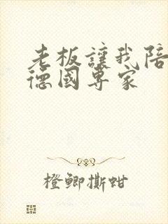 老板让我陪两个德国专家