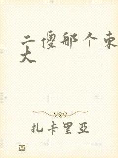 二傻那个东西真大