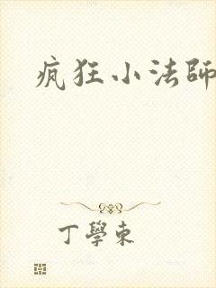 疯狂小法师