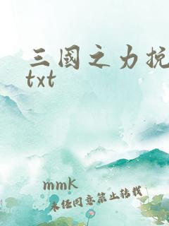 三国之力挽狂澜txt