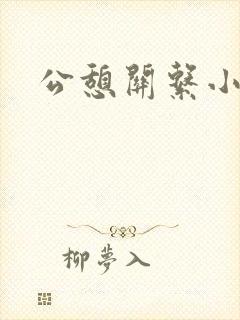 公憩关系小说