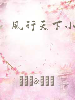 风行天下小说