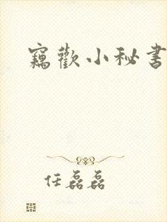 窃欢小秘书