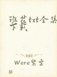 班花txt全集下载