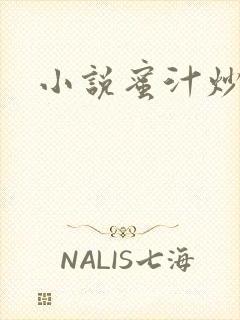 小说蜜汁炒鱿鱼