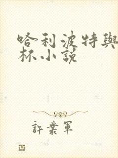 哈利波特与火焰杯小说