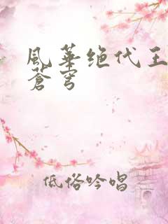 风华绝代王妃斗苍穹