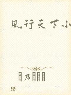 风行天下小说