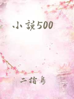 小说500