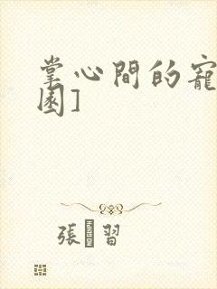 掌心间的宠[校园]