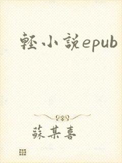 轻小说epub